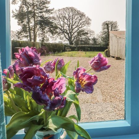 Foxglove Cottage ヨーク エクステリア 写真