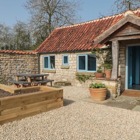 Foxglove Cottage ヨーク エクステリア 写真